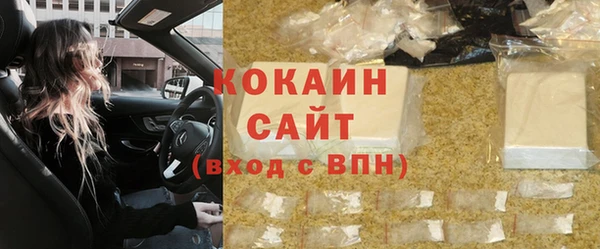 тгк Алексин