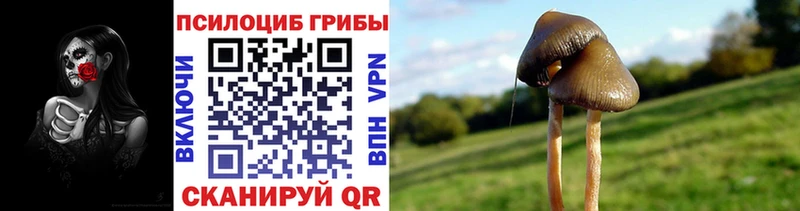 Псилоцибиновые грибы ЛСД  Орск 