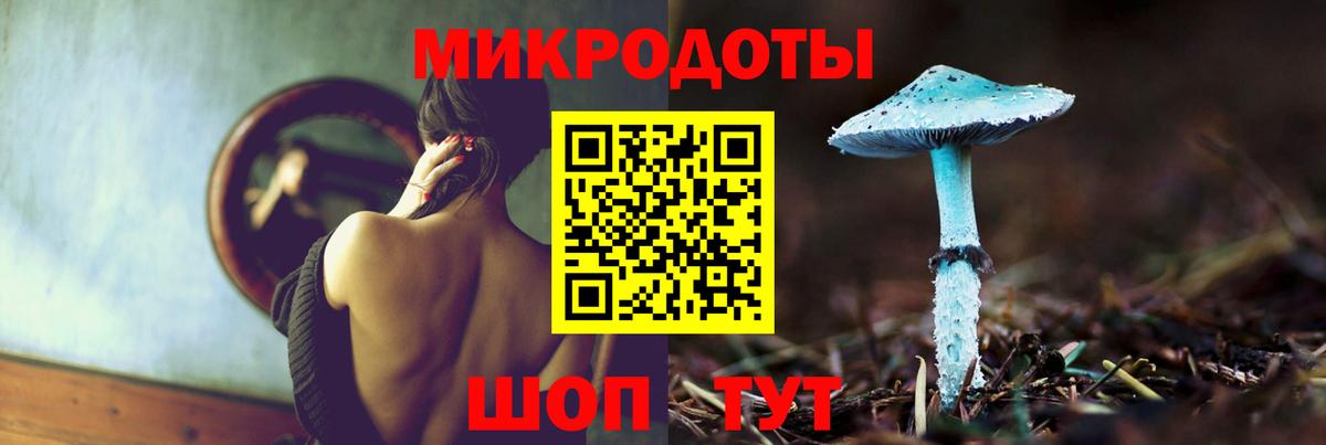Галлюциногенные грибы Psilocybine cubensis Орск